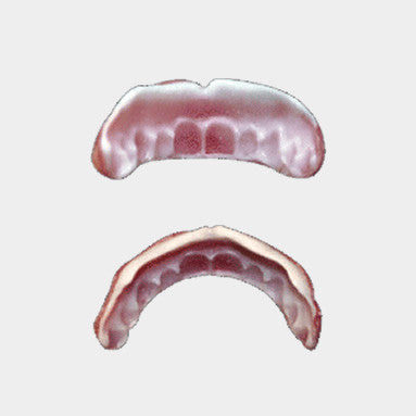 Зубы хищников: видовое разнообразие