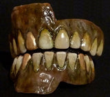 Накладные челюсти/зубы «Нежить»